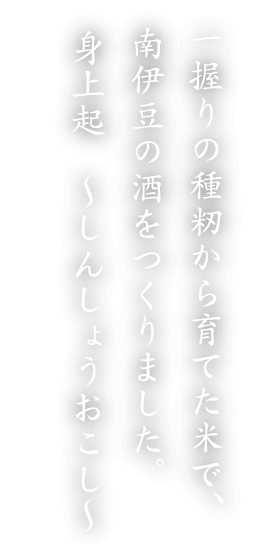 一握りの種籾から育てた米で